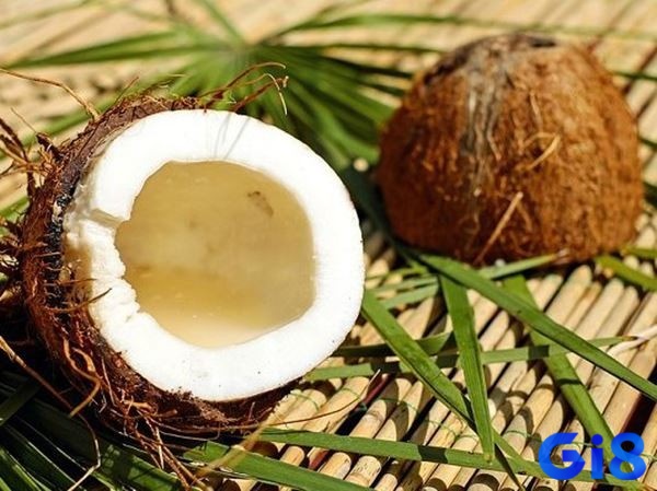 Mơ thấy quả dừa đánh con gì - Điềm báo tùy vào chi tiết mơ