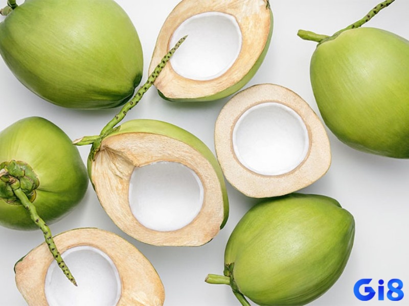 Mơ thấy quả dừa đánh con gì - Điềm báo có cả may và rủi