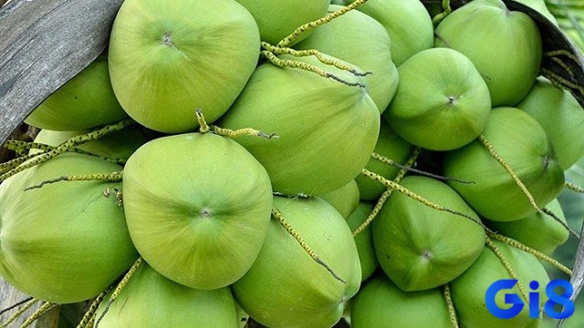 Mơ thấy quả dừa đánh con gì - Giải mã chiêm bao để hiểu được dự báo