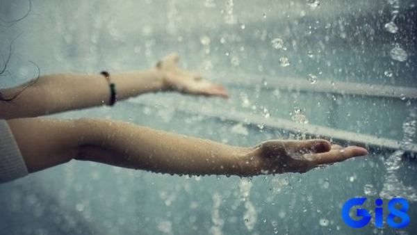 Mơ thấy trời mưa đánh con gì - Dự báo giấc mơ có cả tốt và xấu