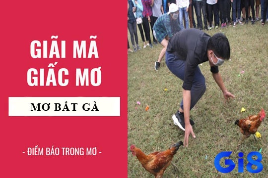 Nằm mơ thấy bắt được gà trống có thể là dấu hiệu của sự thành công và may mắn