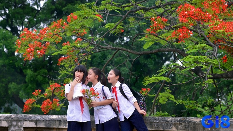 Nằm mơ đi học đánh con gì? Số mấy thắng lớn?