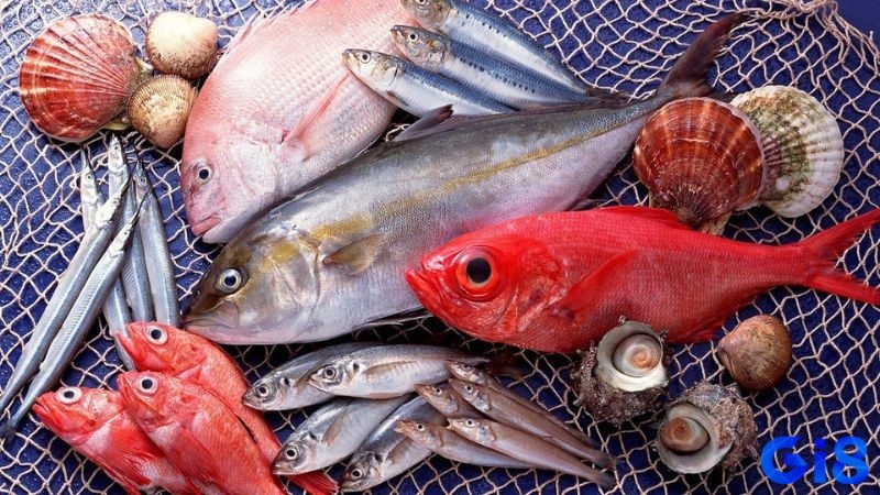 Nằm mơ thấy mua cá đánh con gì -&nbsp;Luận giải chiêm bao để biết được dự báo tương lai 