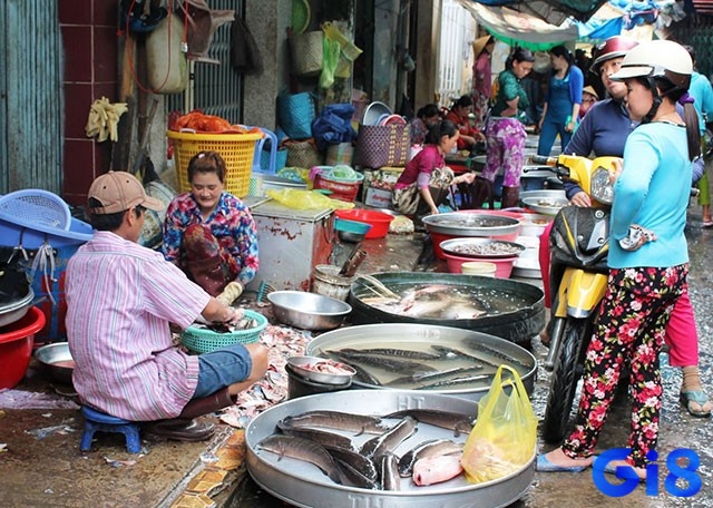 Nằm mơ thấy mua cá đánh con gì - Dự báo có cả hên và xui