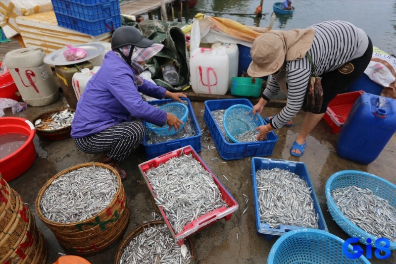 Nắm rõ bối cảnh để biết nằm mơ thấy mua cá đánh con gì
