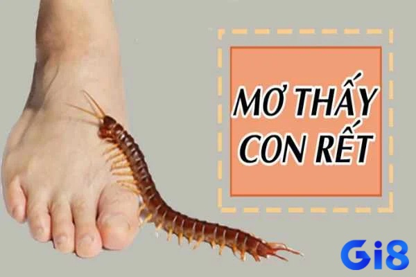 Thấy rết đánh con gì -&nbsp;Chiêm bao xảy ra nhiều trường hợp khác nhau 