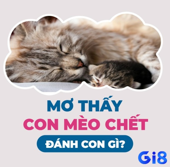 Mơ thấy mèo chết nên đánh con gì?