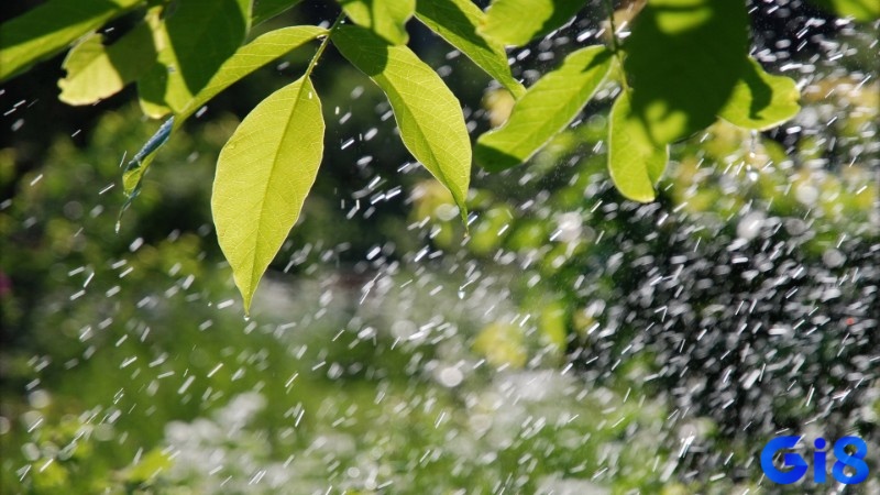 Trời mưa số mấy - Bộ số tài lộc giúp trúng lớn