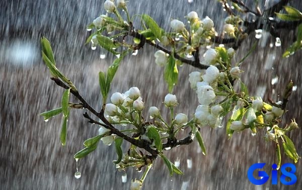 Trời mưa số mấy - Con số phụ thuộc vào hoàn cảnh mơ