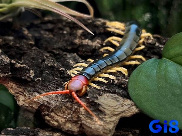 Nắm chắc dự báo để ứng phó với mọi sự thay đổi