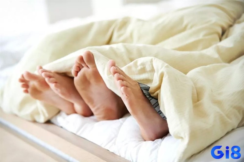 Gi8 lý giải mơ địt nhau đánh đề con gì được phân tích theo bối cảnh
