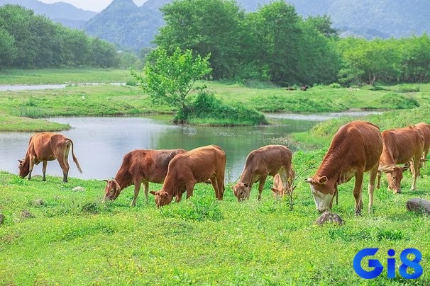 Ghi nhớ điềm báo để chuẩn bị cho tương lai