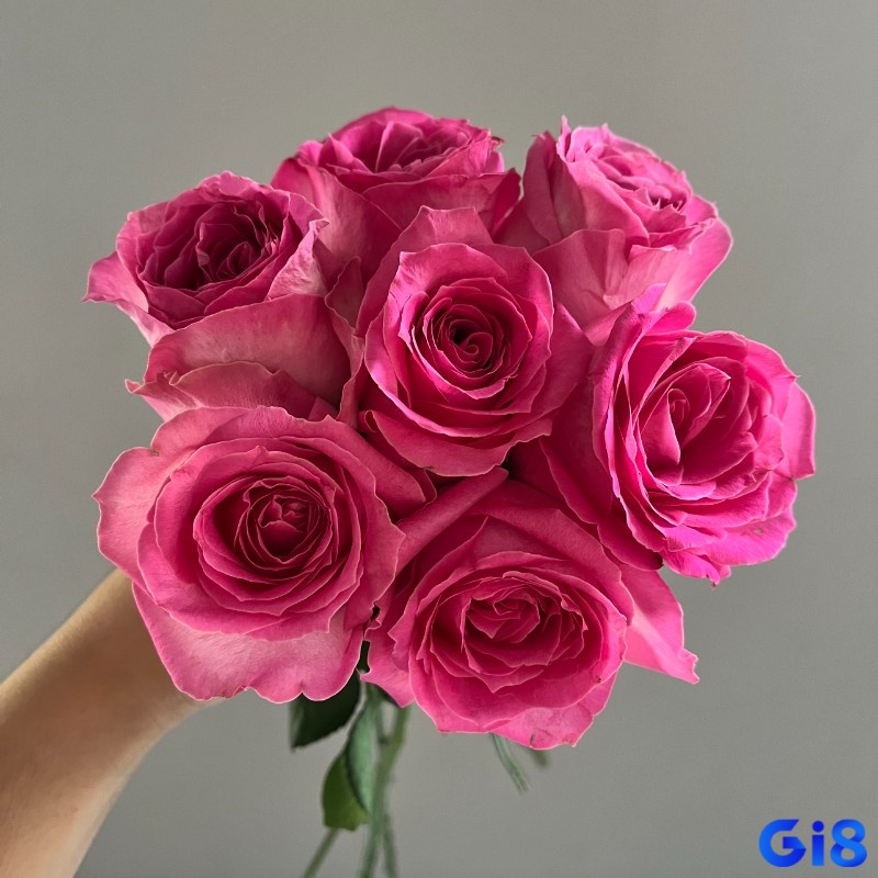 Giải mã giấc mơ thấy hoa hồng giúp có được số để hốt bạc