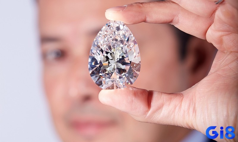 Ghi nhớ trải nghiệm trong mơ để phân tích chính xác