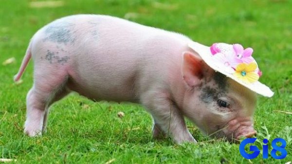 Hình dung rõ những chi tiết mơ để biết được dự báo