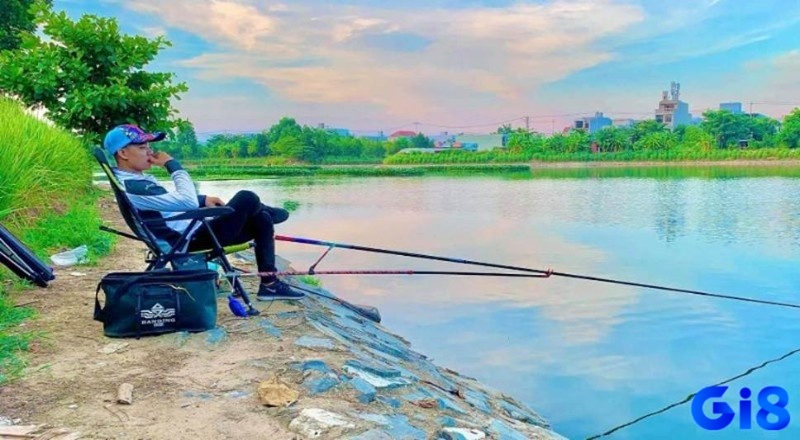 Giải mã giấc mơ thấy câu cá chuẩn xác cùng Gi8