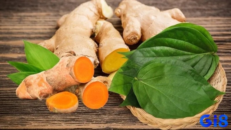 Lá lốt và gừng là bài thuốc dân gian hiệu quả trong cách chữa gà chọi bị rút gân do lạnh.