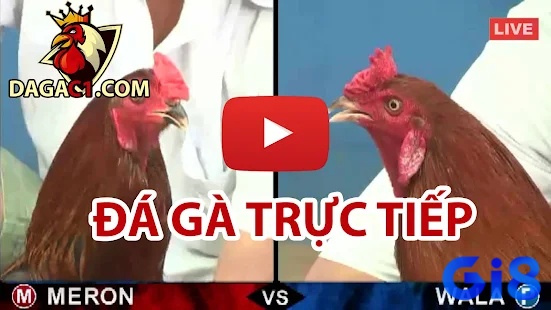 Việc lựa chọn nền tảng uy tín là bước đầu tiên và quan trọng nhất khi quyết định tham gia chơi đá gà online