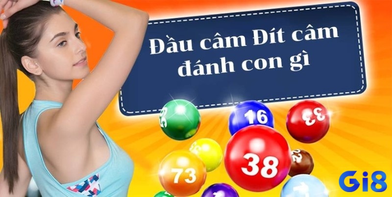Phương pháp nuôi dần là một trong những cách tiếp cận được đánh giá cao khi đối mặt với lô đầu 3 câm