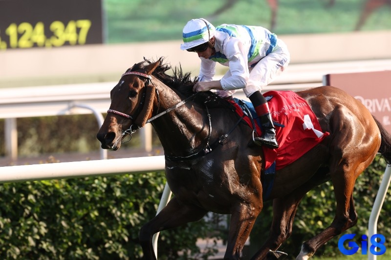 Pháp luật Việt Nam kiểm soát chặt cá cược, người tham gia odds quốc tế có thể đối mặt xử phạt nặng nề