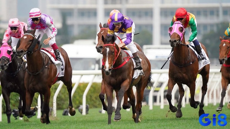 Odds Hong Kong 2025 mở ra góc nhìn thú vị về xác suất, nhưng đòi hỏi hiểu biết, trách nhiệm và chọn lọc thông tin
