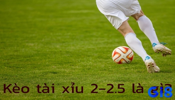 Cách phân chia tiền cược giữa hai mốc kèo 2 và 2.5 trong kèo tài xỉu 2.25.