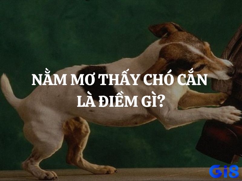 Kinh nghiệm sống và tín ngưỡng vùng miền tạo nên sự khác biệt trong cách giải mã giấc mơ thấy chó cắn đánh lô đề con gì.