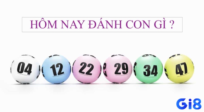 Những thắc mắc thường gặp giúp người đọc hiểu rõ bản chất pháp lý và tâm lý của trò lô đề khi tìm hiểu hôm nay nên đánh con lô gì.