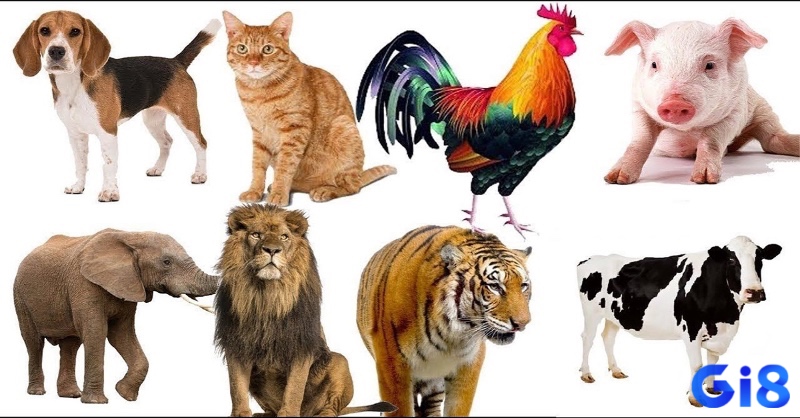 Động vật trong mơ được coi là linh vật gợi ý những con số bí ẩn.