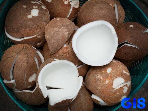 Mơ quả dừa già cho thấy sự thuận lợi trong tương lai