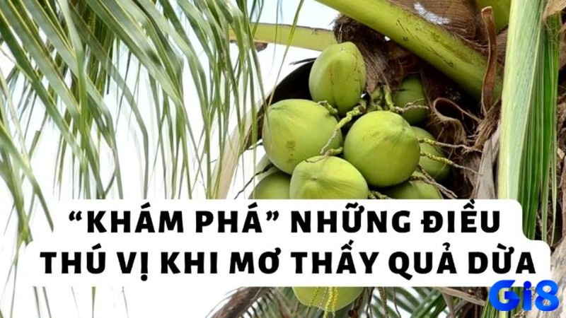 Mơ thấy dừa mang tới điềm báo thú vị theo bối cảnh mơ