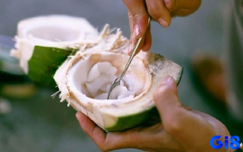 Mơ thấy quả dừa non nhắc bạn không nên hấp tấp
