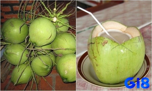 Mơ thấy dừa đánh số gì giúp bạn phát tài chiều nay?
