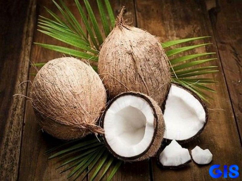 Tiết lộ bộ số đề mơ thấy dừa theo bối cảnh mơ
