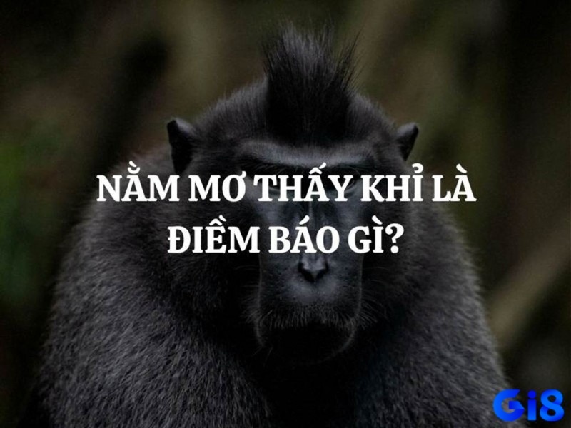 Mơ thấy khỉ chứa đựng điềm báo nào trong tương lai gia chủ?