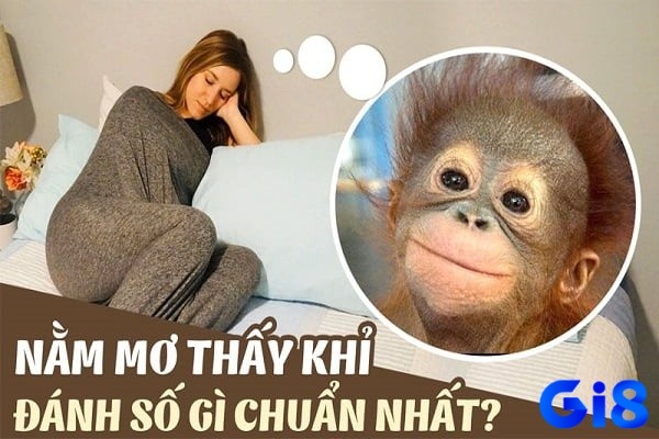 Mơ thấy khỉ đánh con gì chuẩn dựa theo từng bối cảnh mơ