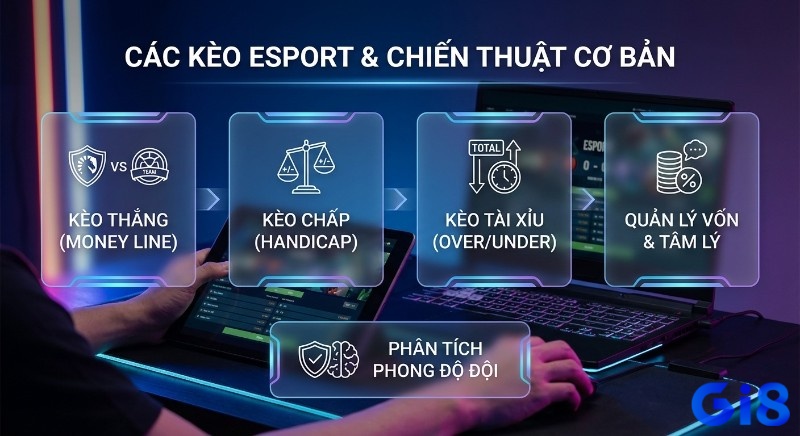 Tổng quan các kèo cược Esport phổ biến: Kèo Thắng, Kèo Chấp, Kèo Tài Xỉu, cùng chiến thuật quản lý vốn và phân tích phong độ đội