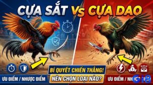 Đá gà cựa sắt vs cựa dao: So sánh chi tiết và khác biệt